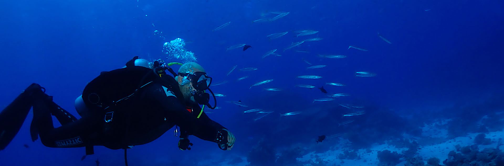 30 YRS+ PADI DIVE CENTER